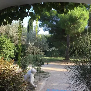 La Maison Des Voyageurs Hébergement de vacances Arles